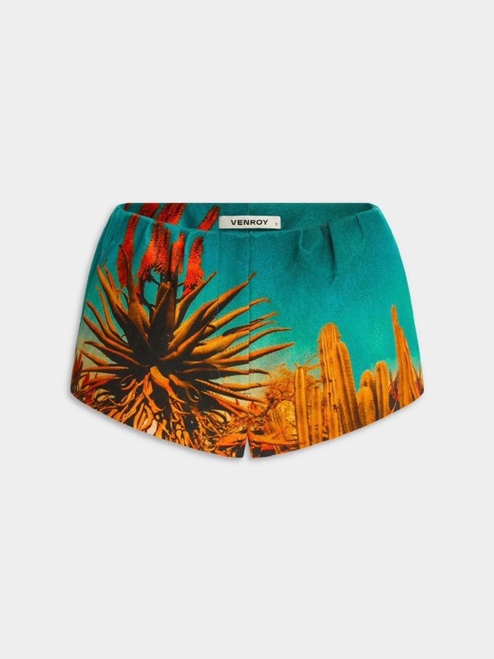 Venroy Pants - Venroy Desert Scape mini short